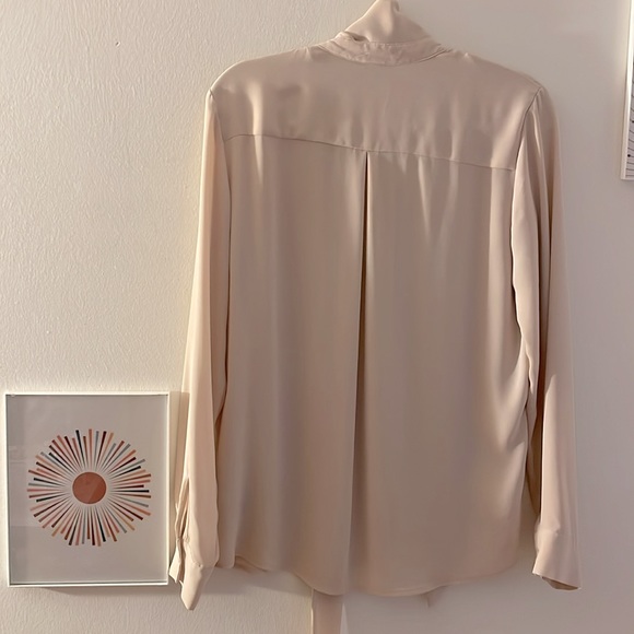 Light Pink Sheer Button Down Blouse - Picture 5 of 6